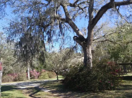 O'LE LADYBUG COTTAGE