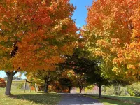 Welcome to Maple Lane a beautiful farmstead in Western Lancaster County, PA