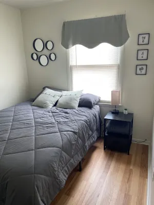 Cozy 3 Bedroom in Owosso close to hospital and Curwood Castle.