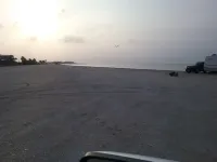 The Pelican at Magnolia Beach