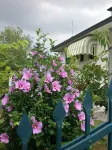 SPECIAL PRICE! - Casa del Vigneto - Holiday home near VENICE