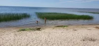 Upper Red Lake all season destination! - Chalets