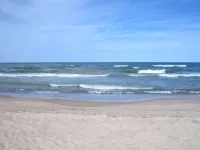 The Pineapple Retreat