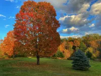 Beautiful home offering privacy on 7 acres with private pond