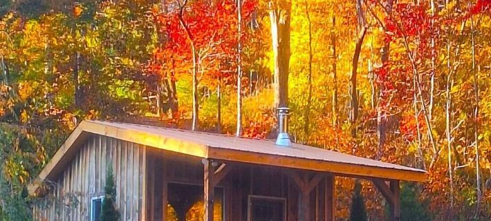Secluded Mountain Cabin on Private Pond · Fireplace · Hiking Trails · WiFi Hotels in McDowell County