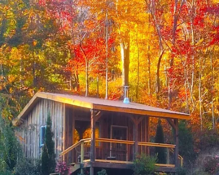 Cozy Cabin, private, romantic, wood stove, WiFi, mountains, NC マクドウェルのホテル