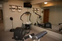 Private Luxury Retreat: In-home Theatre, Hot Tub, Gym, Game Room, and Zebra! - Gym