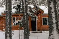 Cozy Log Cabin: Hot Tub under the Stars, Private Deck, King Bed, Dog Friendly!