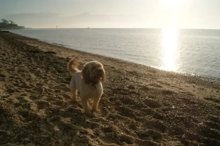 Secluded Retreat - in the heart of the Anchorage