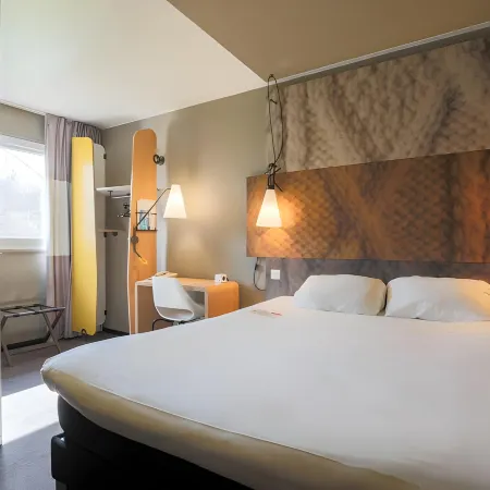 Ibis Montauban