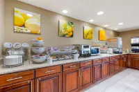 Comfort Inn & Suites Hotel di Milford