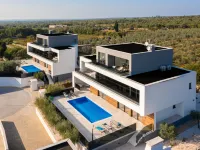Old Olive VI - Villas