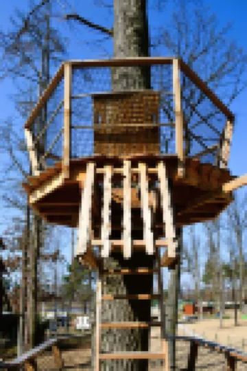 Treehouse 2