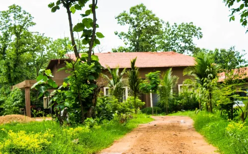 Jharna Resort-Navegaon Gate