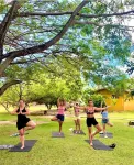 Angá Beach Hotel - palestra
