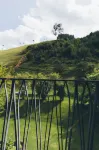Wiesergut - Mountain View