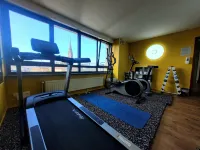 Best Western Mulhouse Salvator Centre - Gym