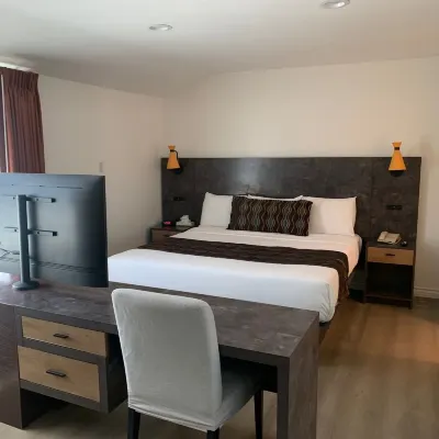 Oasis Inn and Suites Hotels near Arroyo Burro Beach County Park