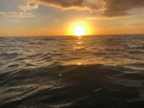 Tampa Heights Bungalow