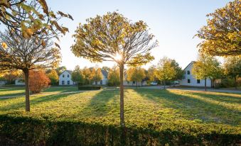 Ferienhaus in Mecklenburg-Vorpommern Mit Tropenpool & Spa