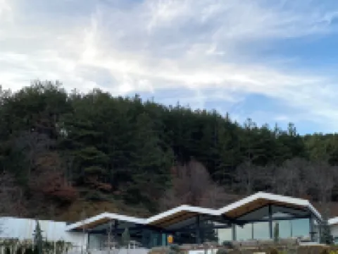 バーデ ゴルジュク オデミシュのホテル