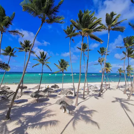 TrueCost Caribbean Paradise