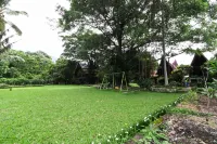 Bagus Bay Homestay Hotels in Tomok