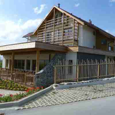 Guest House Eco Vila Mila Hotel Exterior