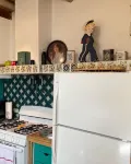 Boho Hip Bungalow in Old Bisbee - 무료 와이파이