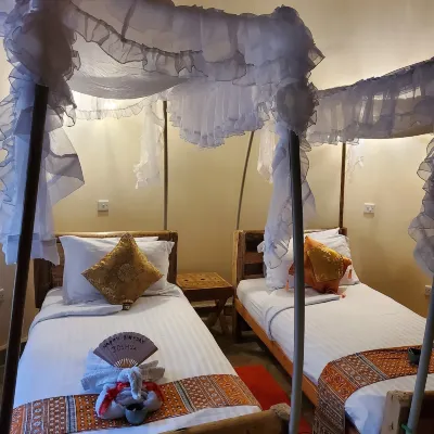 Edaala Comfort - B&B Hotels near Oloolua Nature Trail