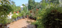 Oyster Marris Homestays in Trivandrum