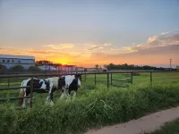 Cabin of Western Skies:  loft, Wi-Fi , and tiny home living-close to OSU