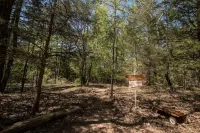 Log Cabin in Woods W/Trail & Scavenger Hunt Wood Fireplace, Lindale Canton Tyler