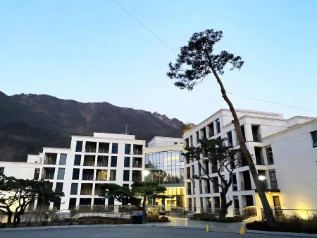 Pine Forest Jeongseon Alpine Resort