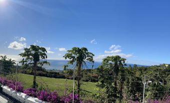 Apartment in Montagne Charlot with a stunning view of the lagoon