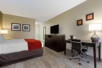 Comfort Inn North of Asheville Hotels in Marshall