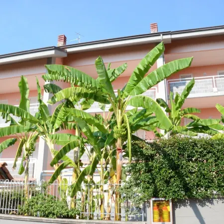 Residence Belvedere