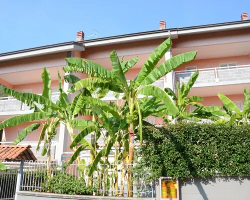 Residence Belvedere Hotels in Ascea