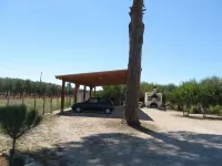 Villa Rita Bed & Breakfast Hotels in Veglie