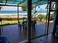 Southern Comfort - Starfish