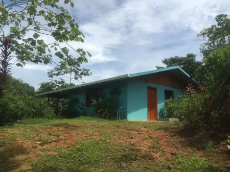 Villa with Primary Forest View