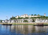 Hôtel le Plantagenet Hotel di Cravant-les-Coteaux