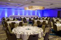 Kahler Grand Hotel Hotels in Rochester