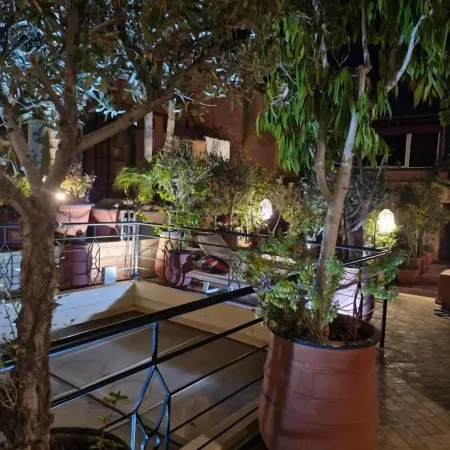 Riad Moullaoud