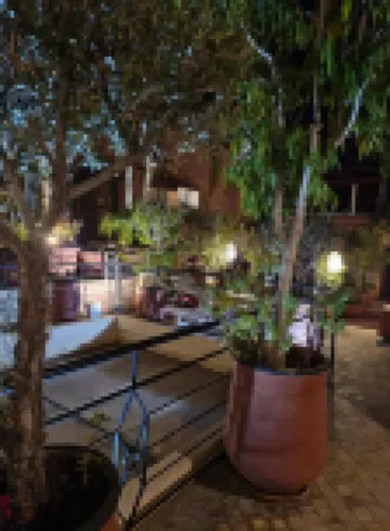 Riad Moullaoud