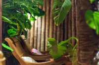 Zorah Beach Hotel - spa