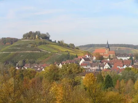 Hotel Restaurante Lorca Отели в г. Лангенбреттах