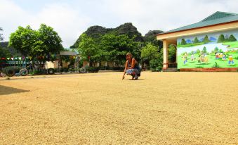 Ninh Binh Mountain Side Homestay & Cafe