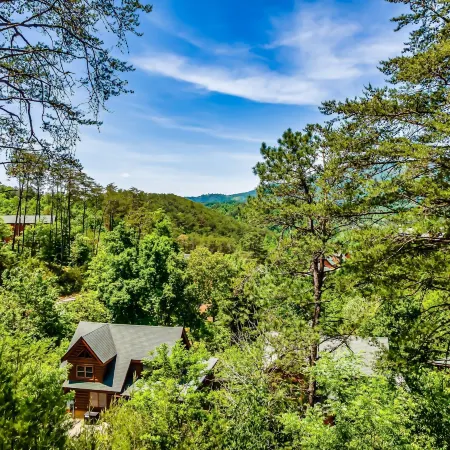 Summer Special! Pools, 2 HotTubs, Theater, Pet Friendly