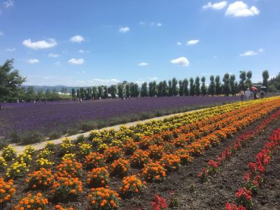 ホテル周辺 芦別温泉スターライトホテルの写真